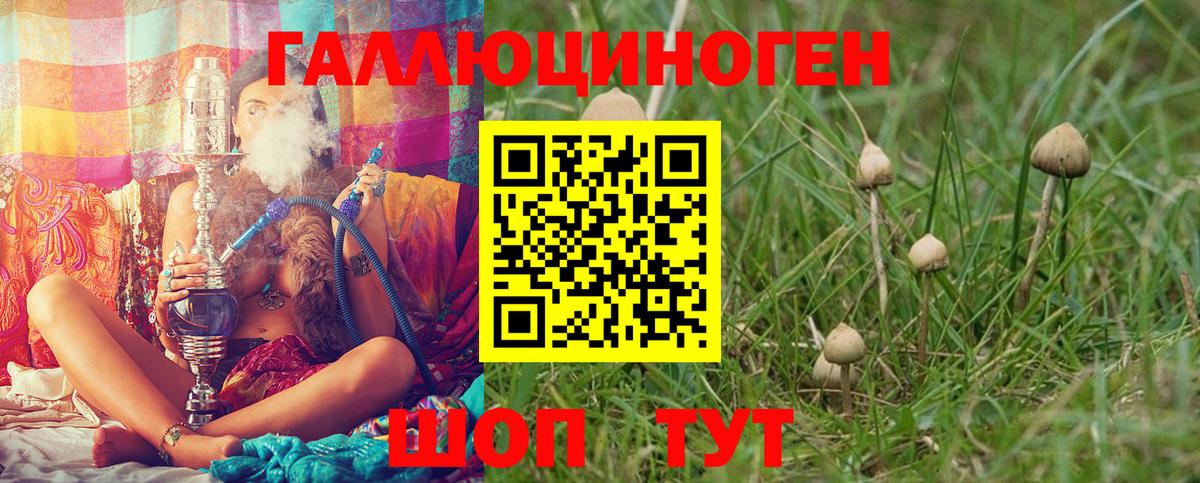 Галлюциногенные грибы Magic Shrooms  Вход с VPN  Кохма  Галлюциногенные грибы Psilocybe 